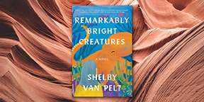 Remarkably Bright Creatures book cover