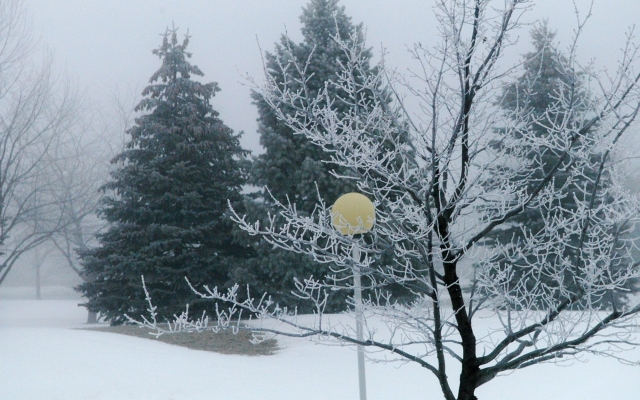 Campus photo in the winter