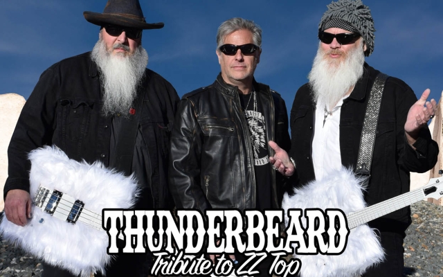 Thunderbeard band